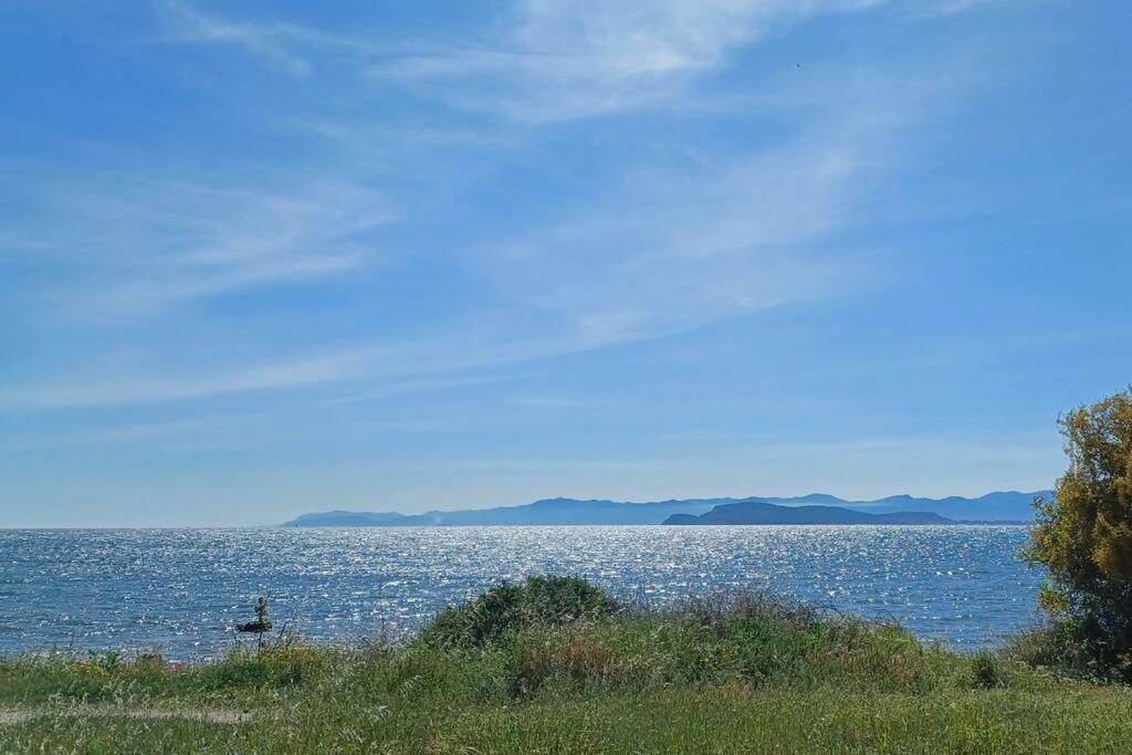 Appartamento Sul Mare Su Forti Exterior photo